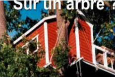 insolite